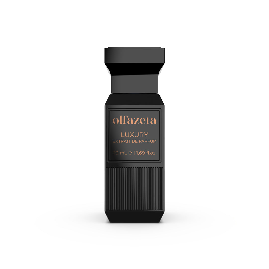 Parfum homme Luxury essence 30% - 50 ml, inspiré de X for men - CLIVE CHRISTIAN